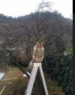 乐鱼体育网址-意甲战术革新推动比赛节奏变化,意甲战术革新推动比赛节奏变化的原因